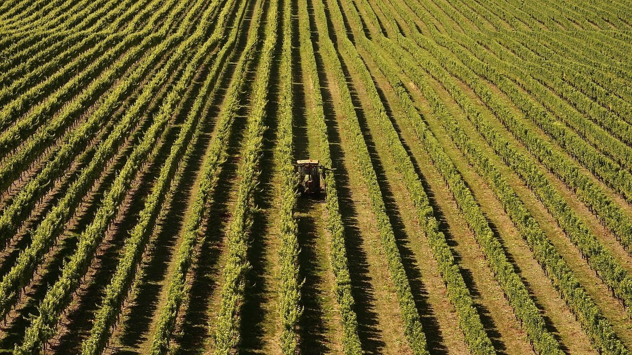 Advierten déficit técnico y profesional en el sector agricola de la provincia