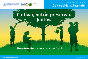 Dia mundial de la alimentación
