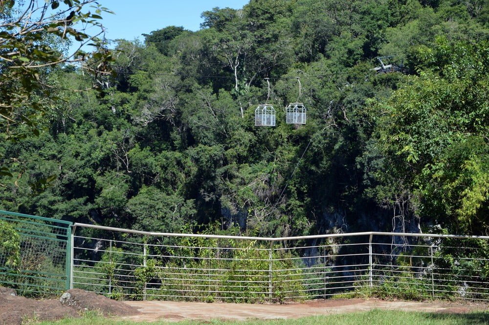 Para Rulo Bregagnolo quitar las aerosillas es “un acto de justicia de la naturaleza…”